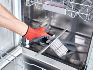 Dishwasher cleaning filter1