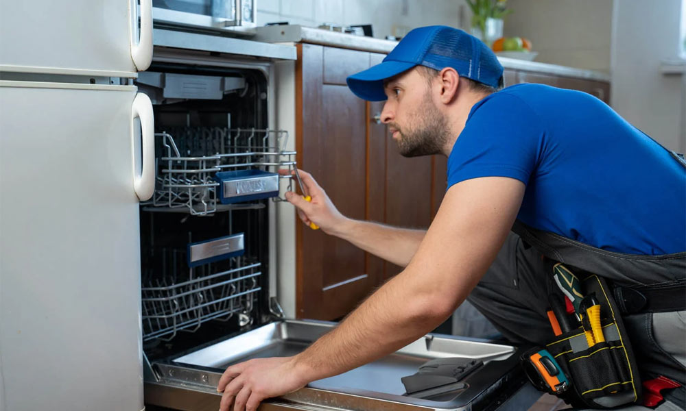 Dishwasher repair